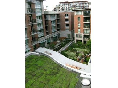 Parkside Victoria, leed platinum, canada, green architecture, green design, eco design, sustainable design, green building