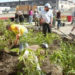 sustainable design, green design, urban biofilter project, sustainable landscaping, brownfield reclamation, public space, waste management, green gardening