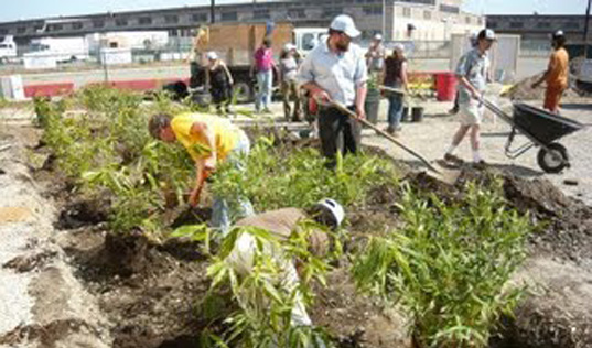 sustainable design, green design, urban biofilter project, sustainable landscaping, brownfield reclamation, public space, waste management, green gardening
