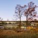 wildlife conservation society, center for global conservation, wildlife, LEED, LEED Gold, wind energy, zero carbon, daylighting, green roof, FXFOWLE, nyc, green design, eco design, sustainable building