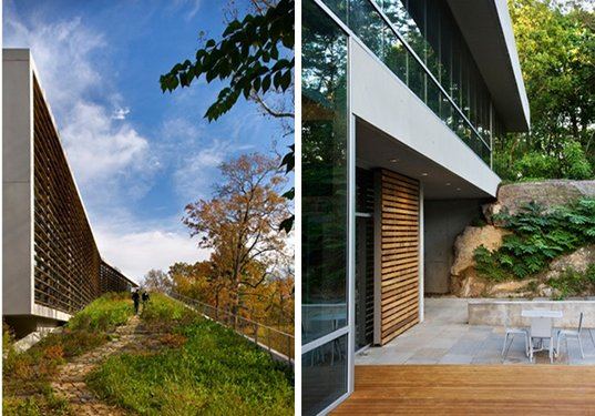 wildlife conservation society, center for global conservation, wildlife, LEED, LEED Gold, wind energy, zero carbon, daylighting, green roof, FXFOWLE, nyc, green design, eco design, sustainable building