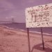 water pollution, dead zone, aquatic dead one, aquatic, hypoxic, oxygen depleted, nitrous oxide, oxygen, global warming, climate change, ocean life, aquatic life, low oxygen levels