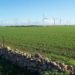 wind turbines, wind, energy, wind farm, land, water, temperature, global warming, climate change, mit, research