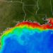 water pollution, dead zone, aquatic dead one, aquatic, hypoxic, oxygen depleted, nitrous oxide, oxygen, global warming, climate change, ocean life, aquatic life, low oxygen levels