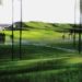 Marcel Sambat High School, green education, green schools, green roofs, freen eco-school, french, france, green design, eco design sustainable design