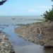 water pollution, dead zone, aquatic dead one, aquatic, hypoxic, oxygen depleted, nitrous oxide, oxygen, global warming, climate change, ocean life, aquatic life, low oxygen levels