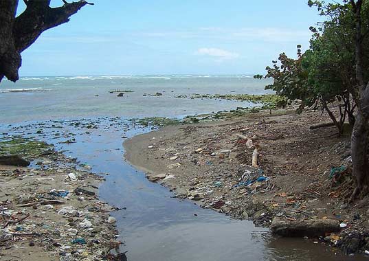 water pollution, dead zone, aquatic dead one, aquatic, hypoxic, oxygen depleted, nitrous oxide, oxygen, global warming, climate change, ocean life, aquatic life, low oxygen levels
