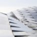 smithsonian, washington dc, dc, museum, national history museum, foster and partners, architecture, canopy, vaulted ceiling, glass ceiling