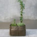 bacsac, bacsac garden bag, urban gardens, gardening solutions, 100% recyclable gardening bags, permeable porous gardening bags, geo-textiles, gardening