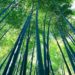 sustainable design, green design, urban biofilter project, sustainable landscaping, brownfield reclamation, public space, waste management, green gardening