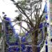 sustainable design, green design, recycled materials, sustainable architecture, bottle chapel, building made from bottles, green building, alternative building materials