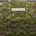 Flora grubb gardens, gardening panels, modular gardening panels, vertical gardens, DIY, DIY vertical gardens, green home décor, green furniture, planting cells, wall planting, vertical planting, wall gardens