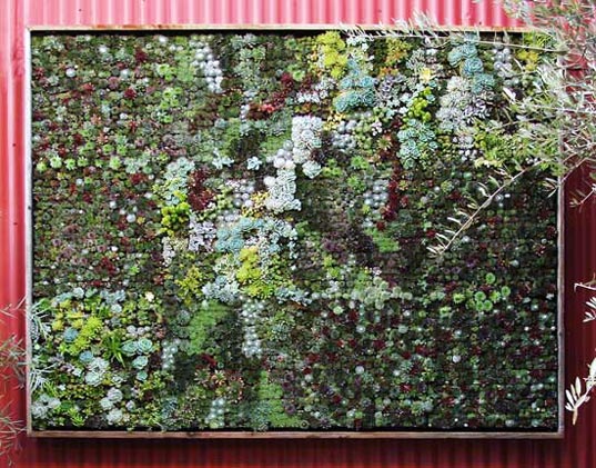 Flora grubb gardens, gardening panels, modular gardening panels, vertical gardens, DIY, DIY vertical gardens, green home décor, green furniture, planting cells, wall planting, vertical planting, wall gardens