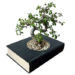 Gardenkulter planter, book pot, sustainable design, green design, recycled materials, green product design, industrial design, gardening, container gardening, botanical