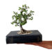 Gardenkulter planter, book pot, sustainable design, green design, recycled materials, green product design, industrial design, gardening, container gardening, botanical