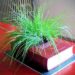 Gardenkulter planter, book pot, sustainable design, green design, recycled materials, green product design, industrial design, gardening, container gardening, botanical