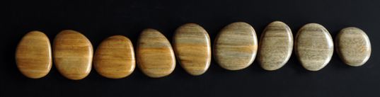 straight line designs, mountain pine beetle, felled wood, infested wood, damaged wood, pine trees, green furniture, sustainable furniture, diseased trees, green interiors, interior design, wood furniture