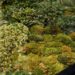 moss table, living furniture, ayodhya, green furniture, organic furniture, plant furniture