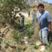 sustainable design, green design, urban biofilter project, sustainable landscaping, brownfield reclamation, public space, waste management, green gardening