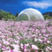 zendome, sustainable design, green design, green building, sustainable architecture, geodesic domes, prefabricated housing, prefab architecture