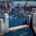 underwater city, ocean city, venice biennale, australia pavilion, 2010 venice biennale, future cities, concept cities, futuristic cities, urban design, australian urbanism, climate change, rising sea levels, green design, eco design, sustainable design