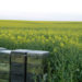 British Supermarket to Help Facilitate Bee Pollination