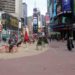 plaza, pedestrian, right of way, new york, new york city, nyc, ny, bloomberg, times square, highline, herald square, new york city plaza program, open space, green space, park, city