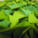 toxic, toxicity, design, eco design, green design, green, color, the color green, green dye, cradle-to-cradle, eco design, pigment green, green pigment,