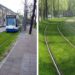 trams on grass, sustainable transportation, european public transportation, green transportation, urban design, urban heat island effect, green design, grass lined public transportation tracks