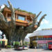 japanese treehouse restaurant, naha harbor diner, crazy treehouse restaurant, onoyama park, banyan town, banyan treehouse, green home, green design, green restsurant, tree house