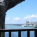 japanese treehouse restaurant, naha harbor diner, crazy treehouse restaurant, onoyama park, banyan town, banyan treehouse, green home, green design, green restsurant, tree house