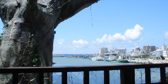 japanese treehouse restaurant, naha harbor diner, crazy treehouse restaurant, onoyama park, banyan town, banyan treehouse, green home, green design, green restsurant, tree house