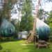 dre wapenaar, tree tents, treehouse tents, sustainable architecture, green design, alternative dwellings, tree-sitter housing, treetop housing