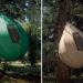 dre wapenaar, tree tents, treehouse tents, sustainable architecture, green design, alternative dwellings, tree-sitter housing, treetop housing