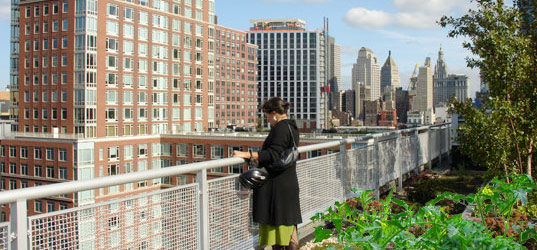 urbangardening-ed001