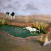Lori Nix, dead cow, dead cows, poisoned cows, poisoned water, chemical spill, poison, dying animals