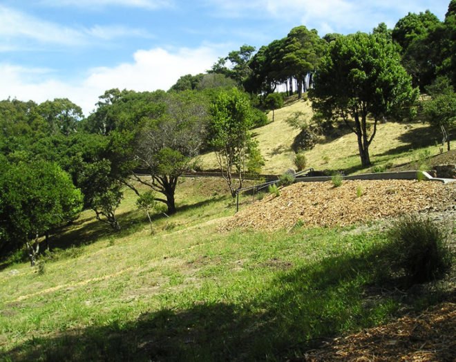 Fernwood, Fernwood cemetery, eco burial, land, grave sites, trees