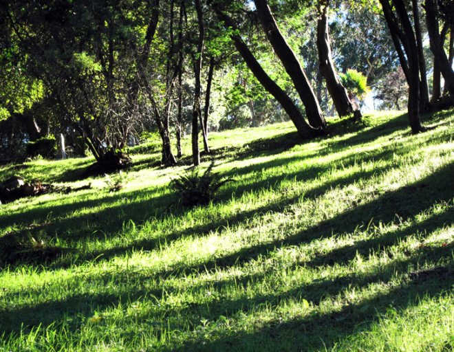 Fernwood, Fernwood cemetery, eco burial