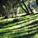 Fernwood, Fernwood cemetery, eco burial