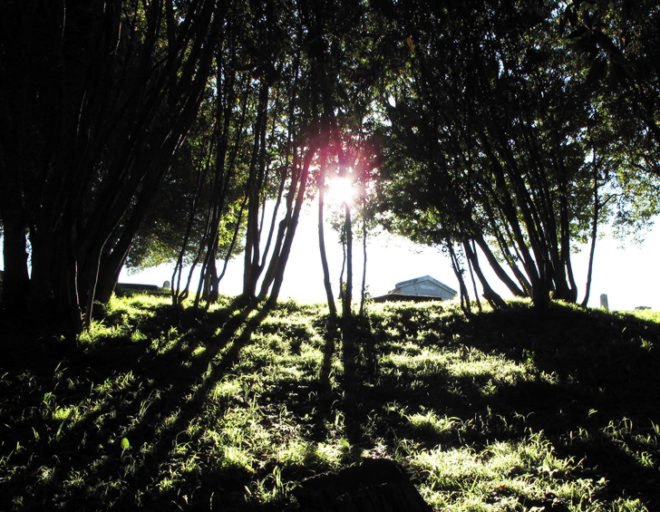 Fernwood, Fernwood cemetery, eco burial, dawn, sunrise