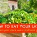 Edible estate, edible landscaping, food forest garden, garden, gardening, food not lawns