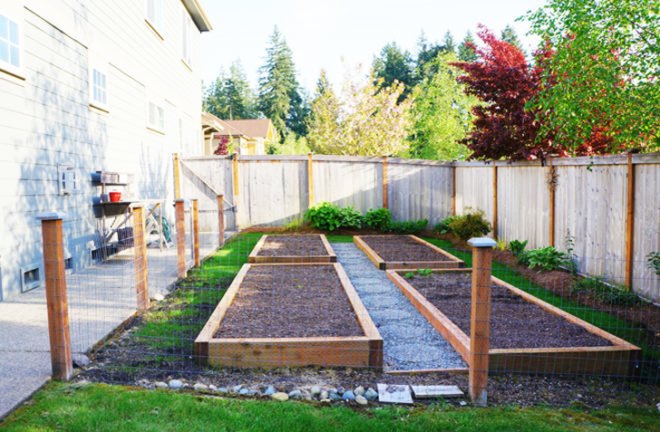 Edible estate, edible landscaping, food forest garden, garden, gardening, food not lawns