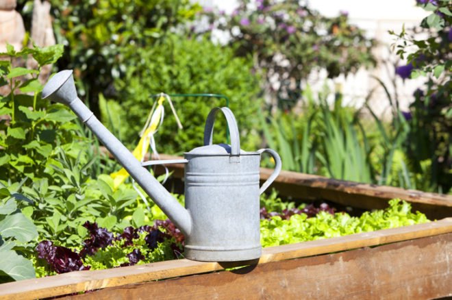 Edible estate, edible landscaping, food forest garden, garden, gardening, food not lawns