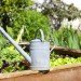 Edible estate, edible landscaping, food forest garden, garden, gardening, food not lawns