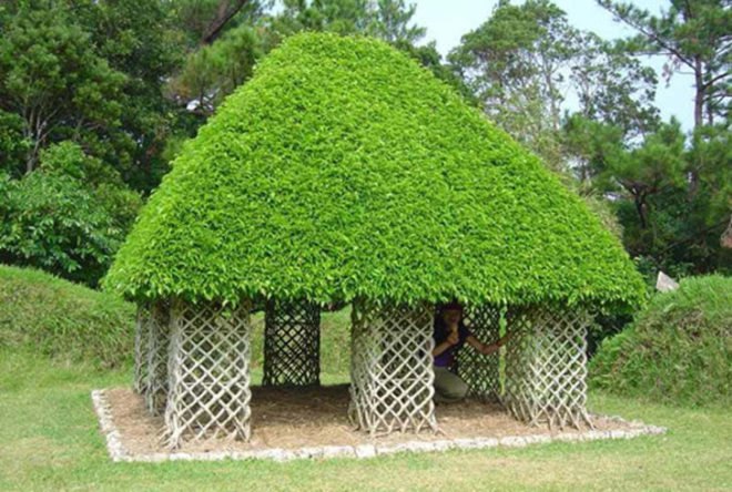 Arborculture, arbortecture, tree architecture, woven tree houses, treehouses, treehouse, tree house