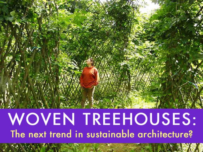 Arborculture, arbortecture, tree architecture, woven tree houses, treehouses, treehouse, tree house