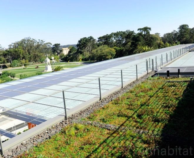 green roof, rana creek, living wall, CABoom, paul kephart, freya bardell, sustainable design, green design, sustainable architecture, green architecture, living roof, green building, natural roofs, sustainable roofs, california academy of sciences