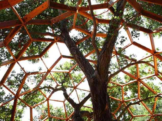 treehouse, tree house, geodesic treehouse,o2 sustainability treehouse, dustin feider, tree house architecture, treehouse, green building, green design, green design, eco design