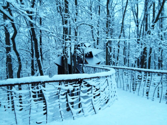 treehouse, tree house, geodesic treehouse,o2 sustainability treehouse, dustin feider, tree house architecture, treehouse, green building, green design, green design, eco design