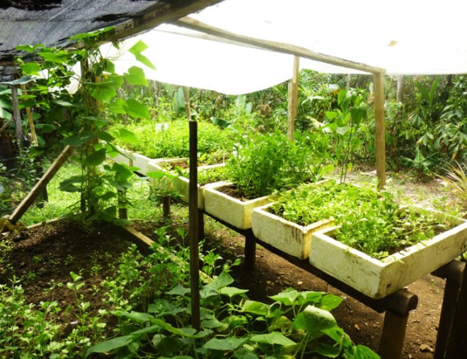 Lapa Rios, eco-resort, Costa Rica, organic, organic garden, herb garden, vegetable garden